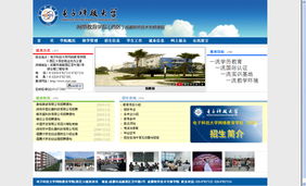 網(wǎng)站建設需求分析與實施指南